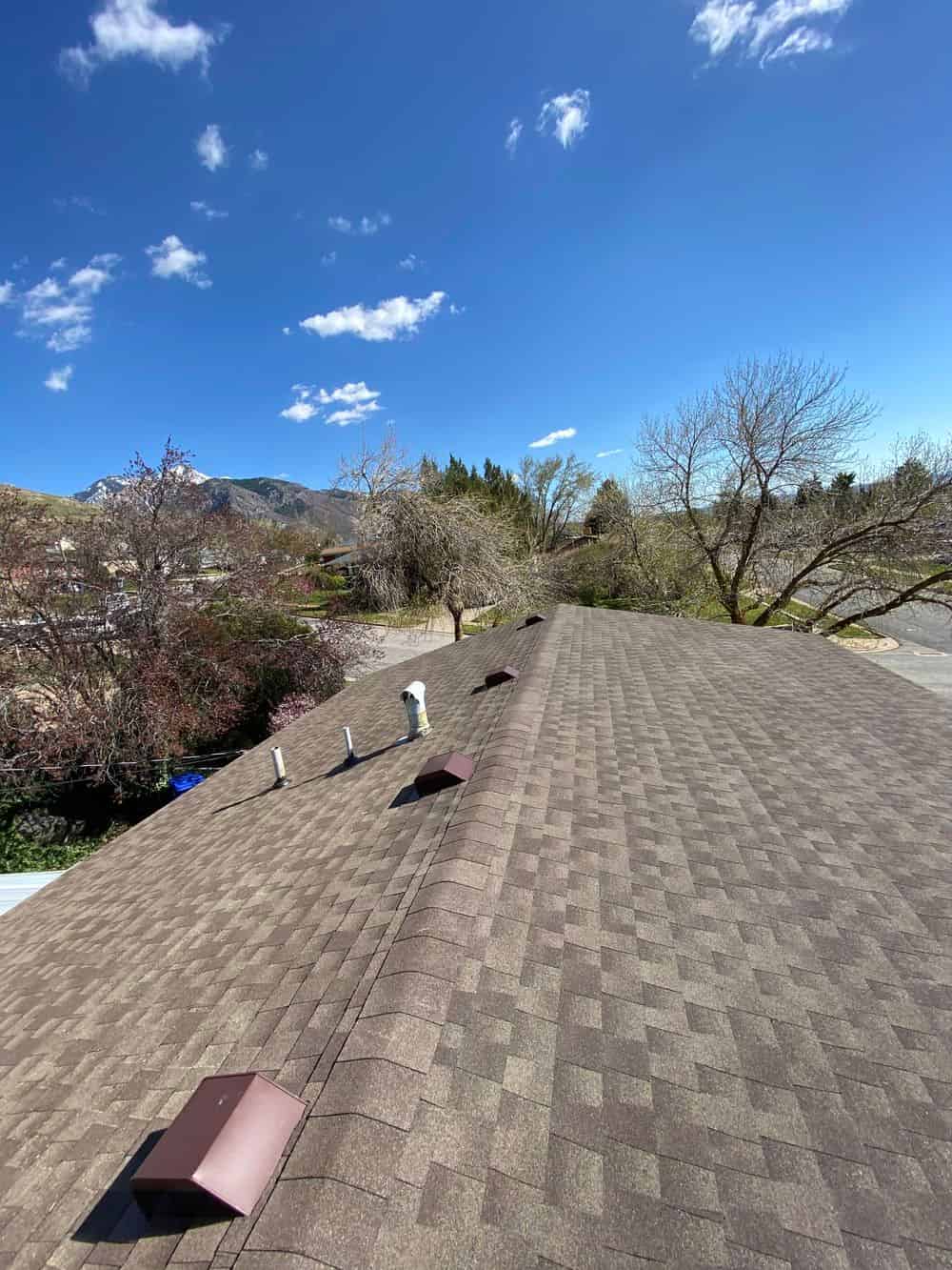 Shingle Replacement image